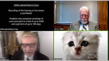 Texas lawyer speaks out after going viral over kitten filter