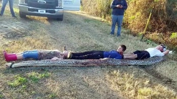 Florida cousins wrangle massive python on their property: 'My God! What a snake!'
