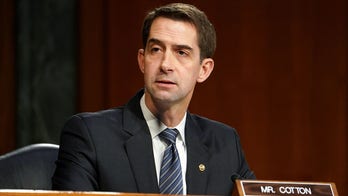 Cotton presses defense secretary on 'anti-American indoctrination' as Austin defends diversity push