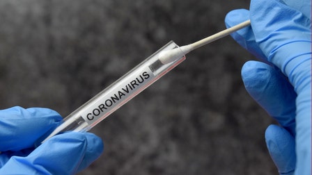 CDC director worries over 'pandemic fatigue' come spring: 'This could go bad so fast'