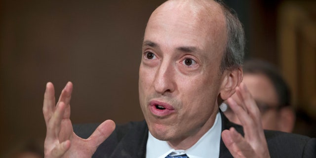 SEC Chairman Gary Gensler speaks during a congressional hearing.