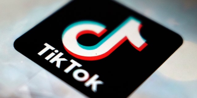 A view of the TikTok app logo, in Tokyo on Sept. 28, 2020.  (AP Photo/Kiichiro Sato, File)