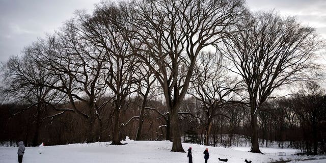 People walk their dogs on the snow-covered Long Meadow in Prospect Park, Tuesday, Feb.9, 2021, in New York's Brooklyn borough.  (AP Photo / Wong Maye-E)