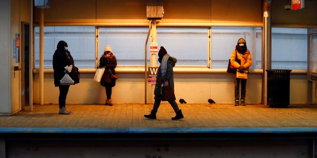 Passengers along with pigeons warm themselves under heat lamps at the Chicago Transit Authority's Washington/Wells "L" station in Chicago's famed Loop on Tuesday, Feb. 9, 2021.