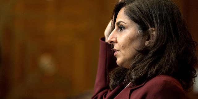 Neera Tanden, President Joe Biden's nominee for Director of the Office of Management and Budget (OMB), is sworn in before a Senate Committee on the Budget hearing on Capitol Hill in Washington, Wednesday, Feb. 10, 2021. (Anna Moneymaker/The New York Times via AP, Pool)