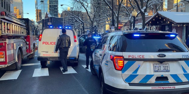 Two Chicago police officers were shot Monday while breaking up Fourth of July crowds setting off fireworks, authorities said.   