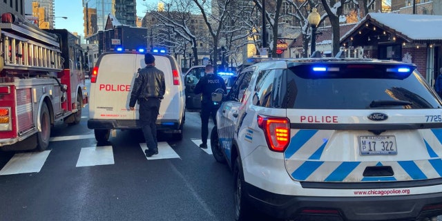 Two Chicago police officers were shot Monday while breaking up Fourth of July crowds setting off fireworks, authorities said.   