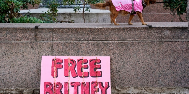 A dog belonging to a Britney Spears supporter walks by a 'Free Britney' sign outside a court hearing concerning the pop singer's conservatorship at the Stanley Mosk Courthouse, Thursday, Feb. 11, 2021, in Los Angeles. (AP Photo/Chris Pizzello)