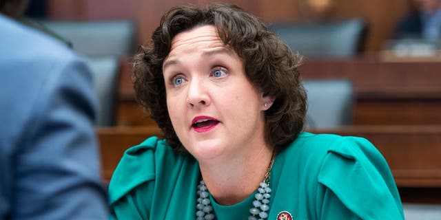 "Mental illness is not a crime, and we have to stop treating it like one," says Rep.  Katie Porter, D-Calif. 
