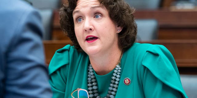 "Mental illness is not a crime, and we have to stop treating it like one," says Rep.  Katie Porter, D-Calif. 