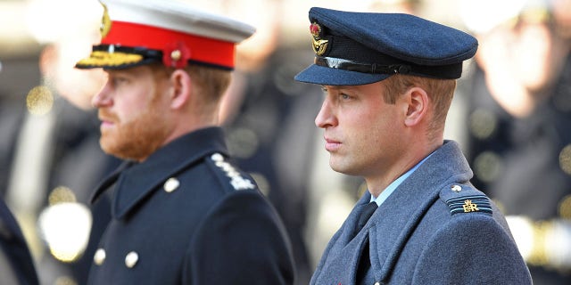 Prince Harry (left) told Oprah Winfrey that he and his older brother Prince William are on different paths.