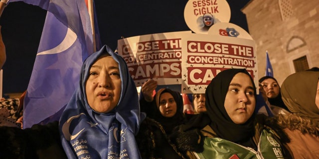 Supporters of China's Muslim Uighur minority wave the flag of East Turkestan and hold placards on December 20, 2019 during a demostration at Fatih in Istanbul. - More than 1,000 protesters marched Friday in Istanbul to protest against China over its treatment of mainly Muslim Uighurs in Xinjiang, an AFP correspondent said.They called for an end to the crackdown in China's northwestern region, where upwards of one million Uighurs and other mostly Muslim minorities are believed to be held in re-education camps. 