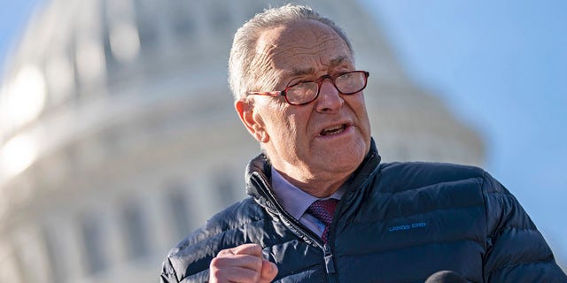 Senate Majority Leader Chuck Schumer (D-NY) speaks during a press conference about student debt outside the U.S. Capitol on February 4, 2021 in Washington, DC. (Photo by Drew Angerer/Getty Images)