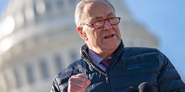 Senate Majority Leader Chuck Schumer (D-NY) speaks during a press conference about student debt outside the U.S. Capitol on February 4, 2021 in Washington, DC. (Photo by Drew Angerer/Getty Images)