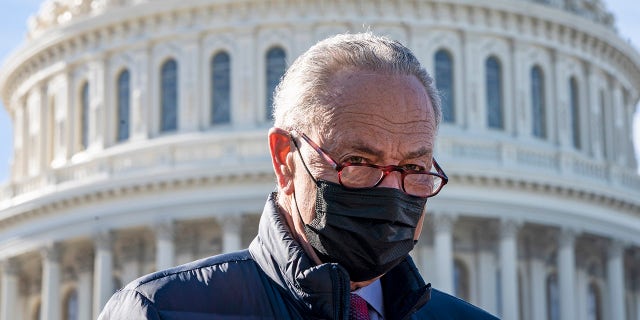 Senate Majority Leader Chuck Schumer (D-NY) speaks during a press conference about student debt outside the U.S. Capitol on February 4, 2021 in Washington, DC. Schumer made a rare appearance in a Senate Rules and Administration Committee markup on Tuesday. (Photo by Drew Angerer/Getty Images)