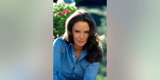 Jaclyn Smith in 'Charlie's Angels.'