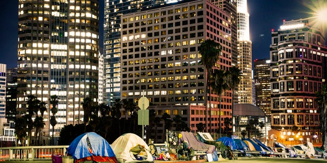 Homeless tents are pictured near the highway in LA Downtown with skyscrapers. (iStock)
