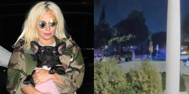 The LASD is searching for a suspect connected to the shooting of Lady Gaga's dog walker after he was released from jail due to a clerical error.