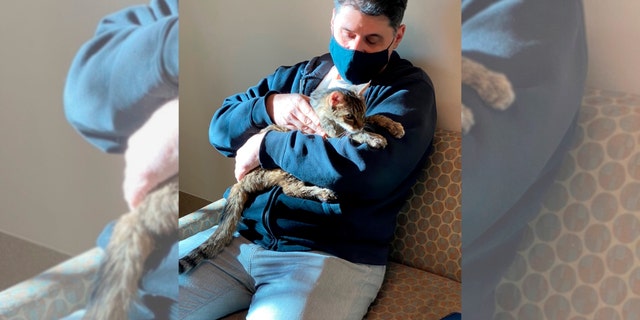 Brandy, a brown tabby cat, was reunited on Feb. 22 with her owner, Charles, after she went astray for 15 years.