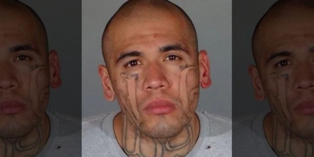 Michael Christopher Mejia