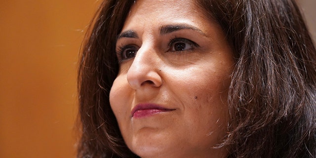 Neera Tanden testifies before the Senate Committee on Homeland Security and Government Affairs on her appointment as director of the Office of Management and Budget (OMB), during a hearing on Tuesday, February 9, 2021 at Capitol Hill in Washington.  (Leigh Vogel / Pool via AP)