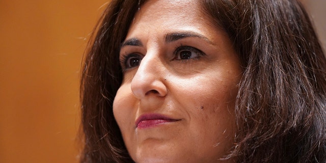 Neera Tanden testifies before the Senate Homeland Security and Government Affairs committee on her nomination to become the Director of the Office of Management and Budget (OMB), during a hearing Tuesday, Feb. 9, 2021, on Capitol Hill in Washington. (Leigh Vogel/Pool via AP)