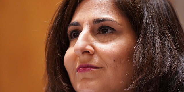 Neera Tanden testifies before the Senate Homeland Security and Government Affairs committee on her nomination to become the Director of the Office of Management and Budget, during a hearing Tuesday, Feb. 9, 2021, on Capitol Hill in Washington.