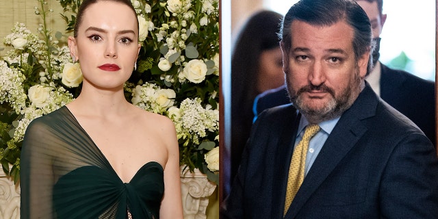 Daisy Ridley slammed Ted Cruz for ditching Texas in the middle of an emergency.