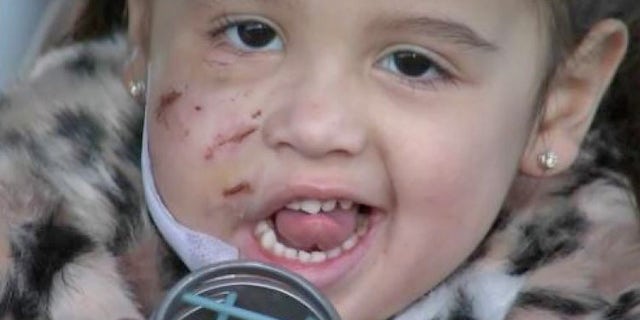 Ronin, shown here, suffered multiple injuries in the attack.
