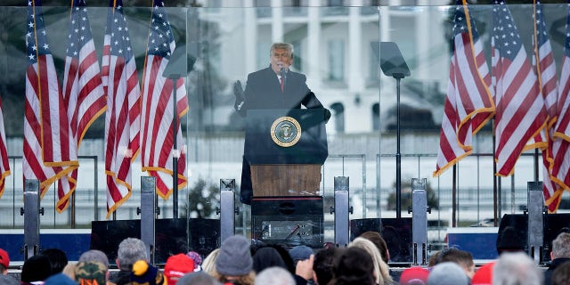 Trump speaks to supporters from The Ellipse near the White House on January 6, 2021, in Washington, DC.