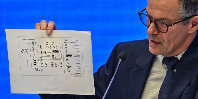 Peter Ben Embarek speaks during a press conference to wrap up a visit by an international team of experts from the World Health Organization (WHO) in the city of Wuhan, in China's Hubei province on February 9, 2021. (Photo by Hector Retamal/AFP via Getty Images)