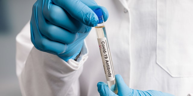 Just under 12% of those tested tested positive for anti-coronavirus antibodies, while 88% tested negative for them.  Researchers, using tracking data, found that less than 1% - 0.3% to be exact - of those who had antibodies to the coronavirus tested positive for COVID-19 infection after 90 days. .  (iStock)