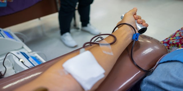 This file images shows a Red Cross blood donation. 