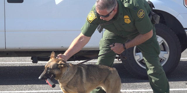 David Phagan has traveled to El Paso several times in the past to train with his new K-9 partners. He just retired his last dog at the age of 12 and is now training with his new German Shepard Amanda, marking his 5th partner in his 19 years of working at the border.
