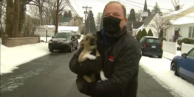 FOX 5 DC reporter Bob Barnard was reporting live on icy weather and road conditions in northern Virginia last Friday morning when a puppy ran out into the street to greet him.