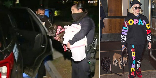 Lady Gaga (R) with her two dogs, Koji and Gustav, and one of the dogs being returned by police (L). 