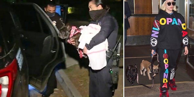 Lady Gaga (R) with her two dogs, Koji and Gustav, and one of the dogs being returned by police (L).