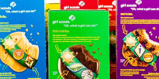 Girl Scouts USA has partnered with shoe brand K-Swiss to create a new line of cookie-themed sneakers next month. (iStock)