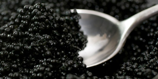 A <a href="https://www.foxnews.com/category/us/us-regions/midwest/wisconsin" target="_blank">Wisconsin</a> man is known as the "sturgeon general" charged in caviar funneling scheme. (iStock)
