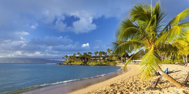 Maui-bound travelers looking to bypass Hawaii's mandatory quarantine will be required to take a second COVID-19 test. (iStock)