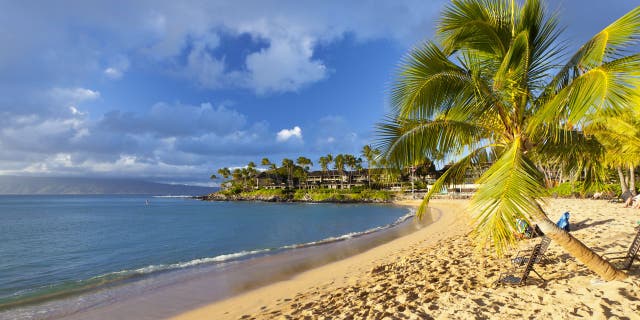 Napili Beach Bay has a small natural reef where marine life is easily visible.  (iStock)