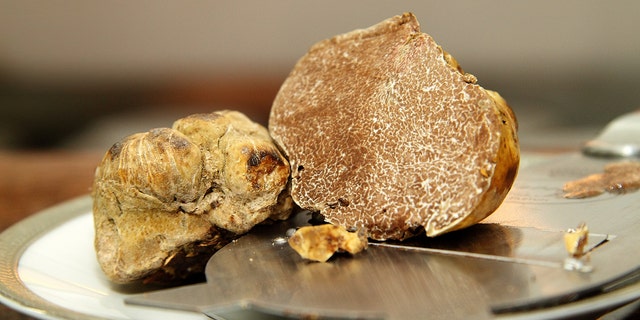 Researchers may have found a way to cultivate expensive white truffles worldwide. (iStock).