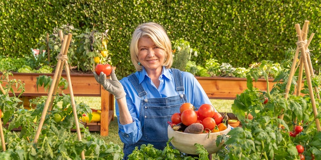 Martha Stewart also makes a guest appearance in the commercial.