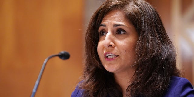 Neera Tanden