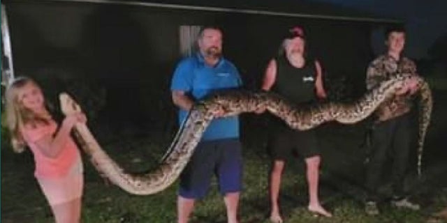 Des cousins de Floride se disputent un python massif sur leur propriété : "Mon Dieu ! Quel serpent !