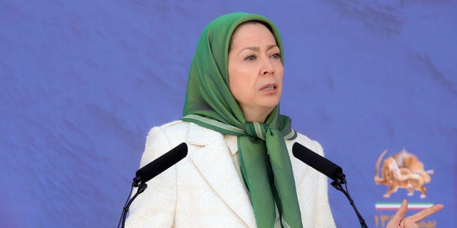 Maryam Rajavi is the president-elect of the National Council of Resistance of Iran (Siavosh Hossein, The Media Express)