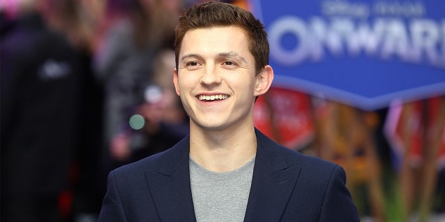 Tom Holland reveals the next Spider-Man film will be entitled 'Spider-Man: No Way Home.'