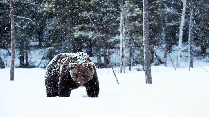 Fox News Flash top headlines for February 18