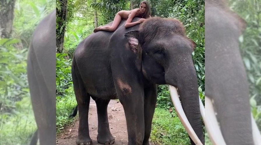 Watch: Elephant slaps girl in the face