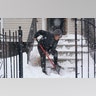 Skye DeJesus shovels her stairs while her dog Gordo pokes around in the snow in Jersey City, N.J., Monday, Feb. 1, 2021. A sprawling, lumbering winter storm is walloping the Eastern U.S., shutting down coronavirus vaccination sites, closing schools and halting transit. (AP Photo/Seth Wenig)